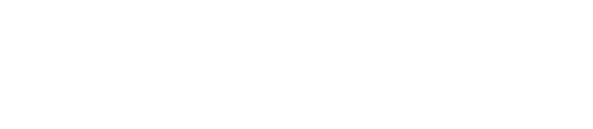 Shaken Academy